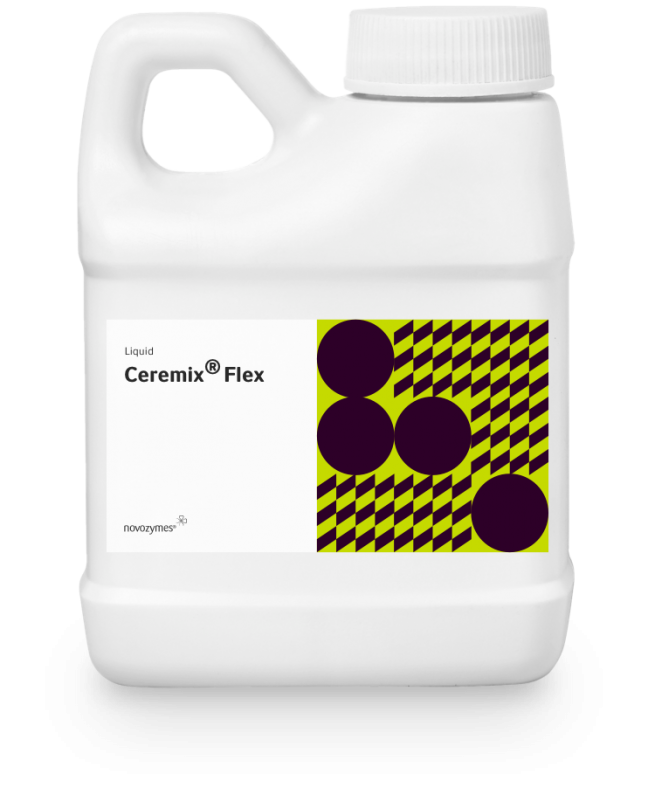 ceremix-flex
